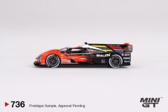 736 - Cadillac V-Series.R #311 Action Express Racing 2023 Le Mans 24 Hrs